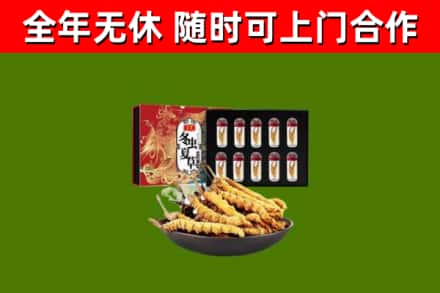 贵溪市烟酒回收冬虫夏草礼盒.jpg